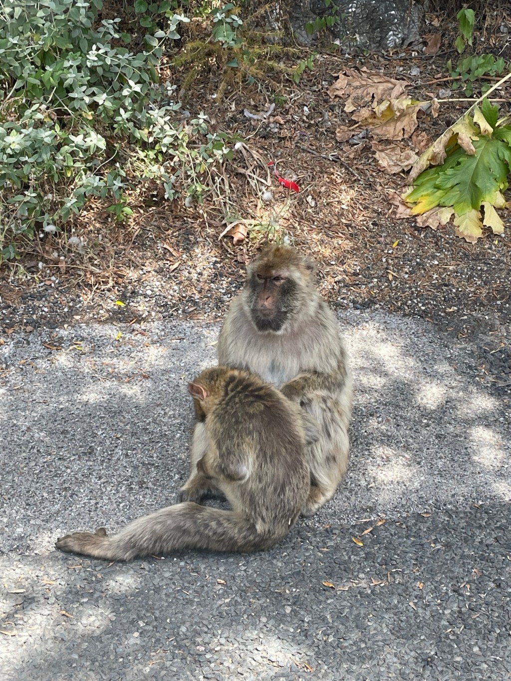 11. Spain, Gibraltar and the end of Europe…..&nbsp;🥹