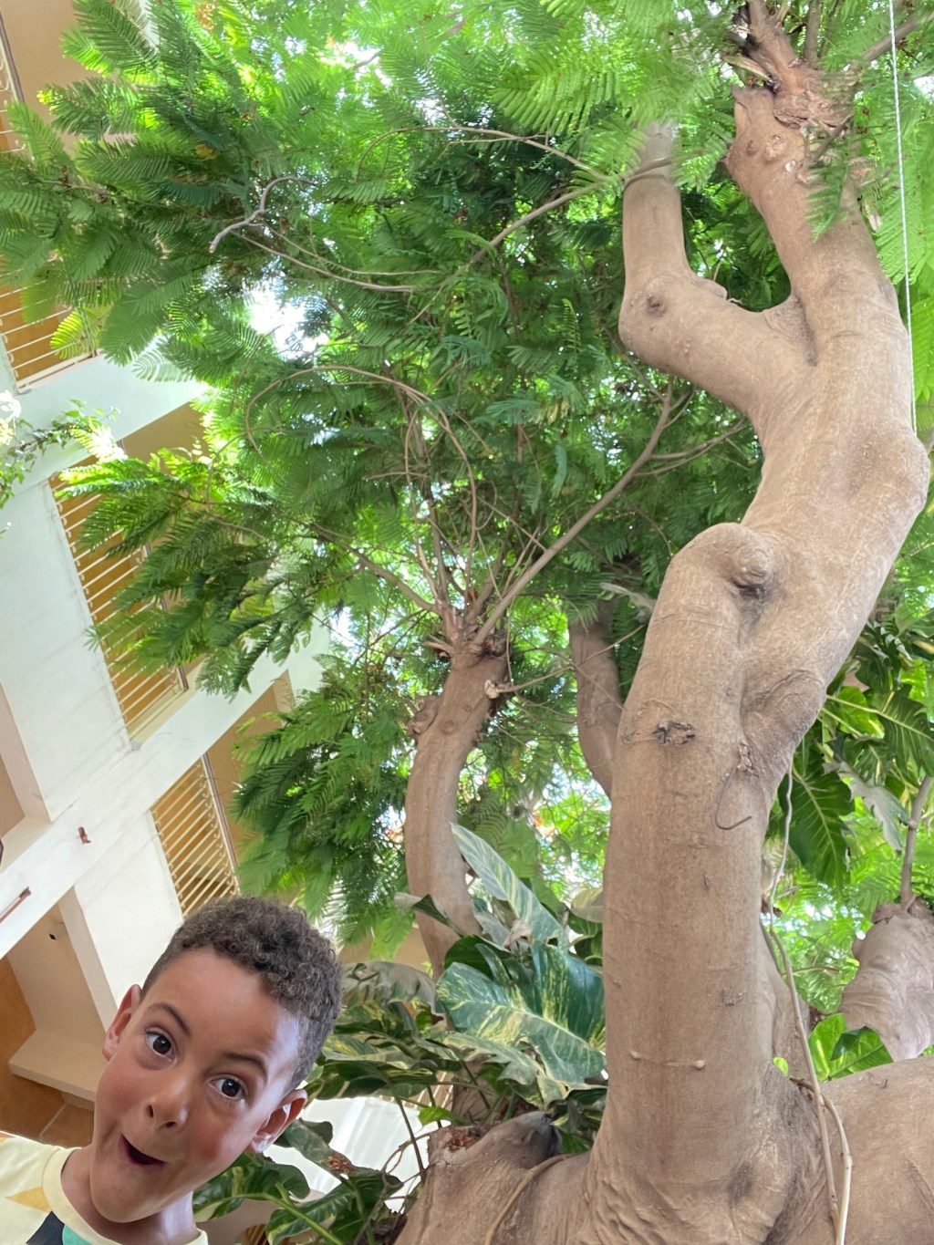 30. Vlog #15 St. Louis, Senegal&nbsp;🇸🇳